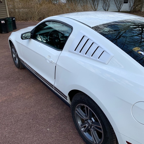 Meet your Posher, Jake - Picture 1 of 1